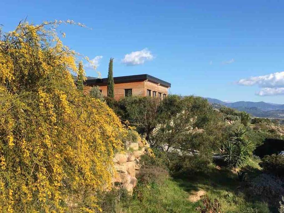 Casa Turrigiani Villa Sagone  Ngoại thất bức ảnh